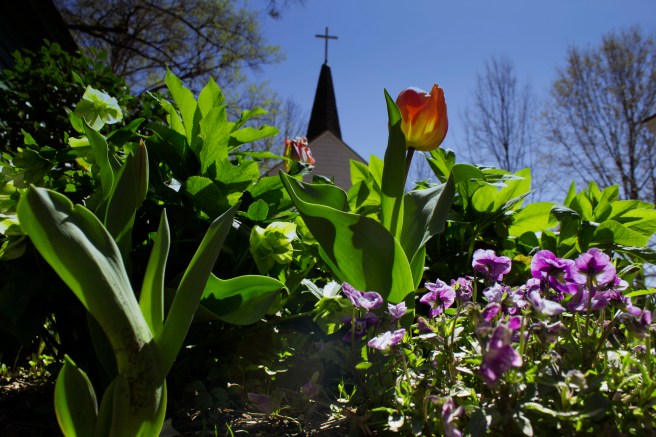 Mordecai House 2018 1