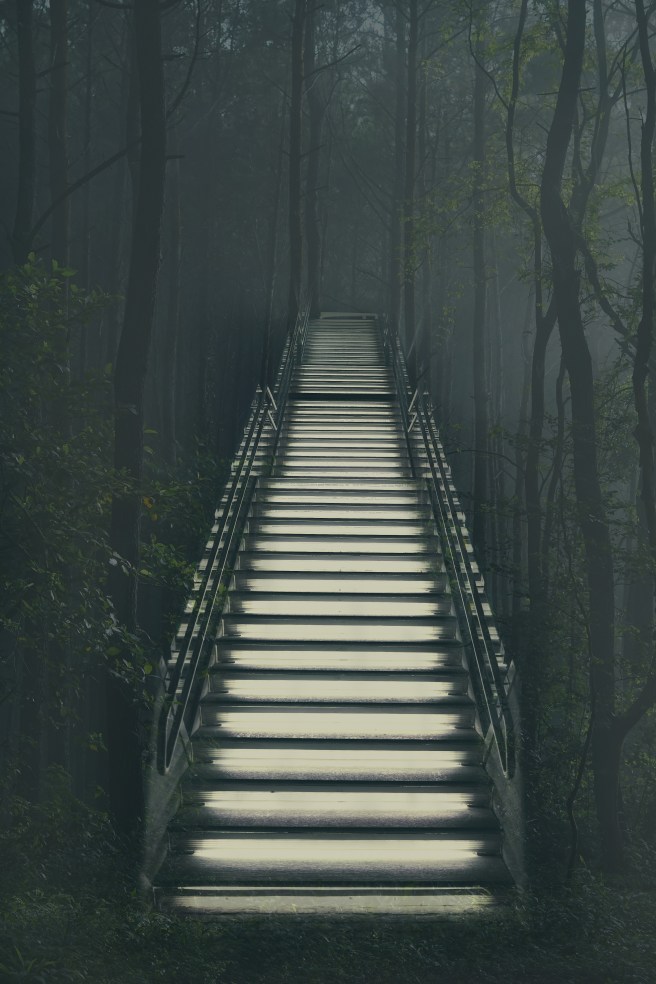 stair woods.jpg