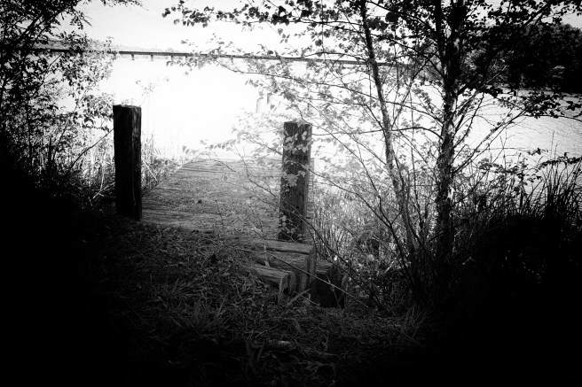 Dock Black and White 1.jpg