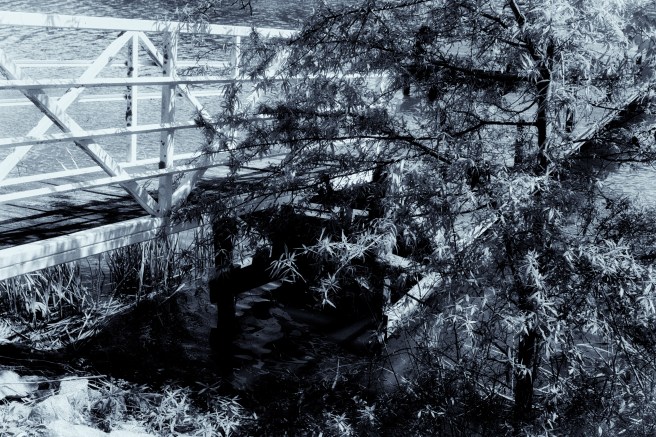 White Dock Black and White.jpg